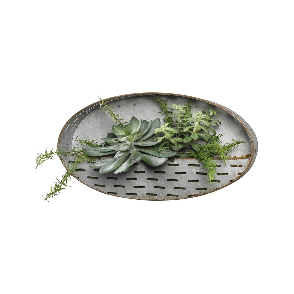 D&W Silks Frosted Echeveria, Tree Succulents and Rosemary in Oval Meta