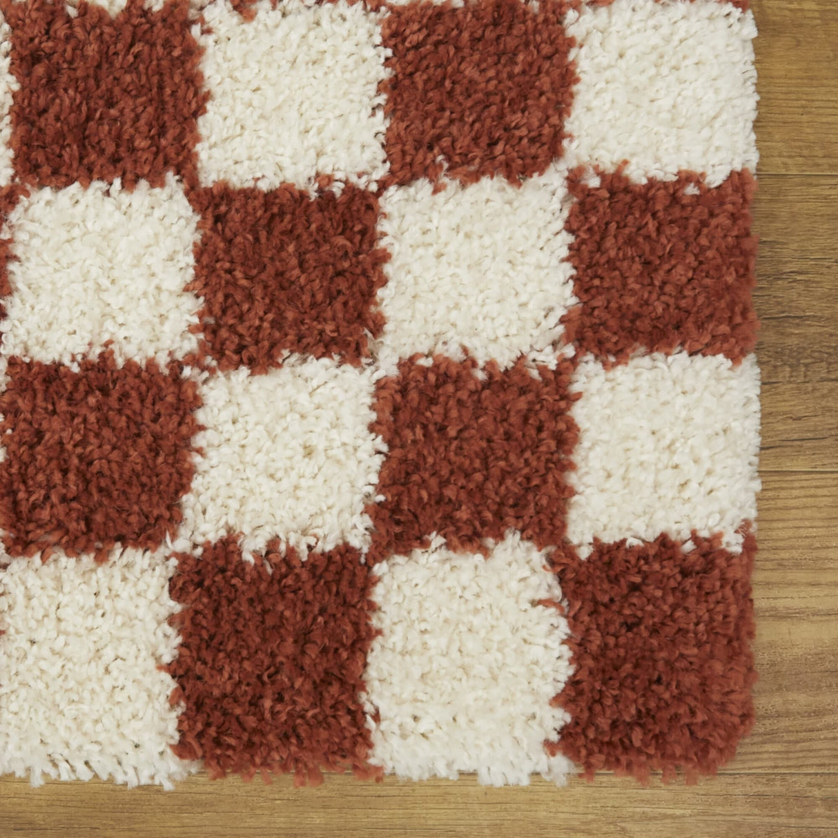 Mackie Checkered Shag Area Rug