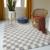 Mackie Checkered Shag Area Rug