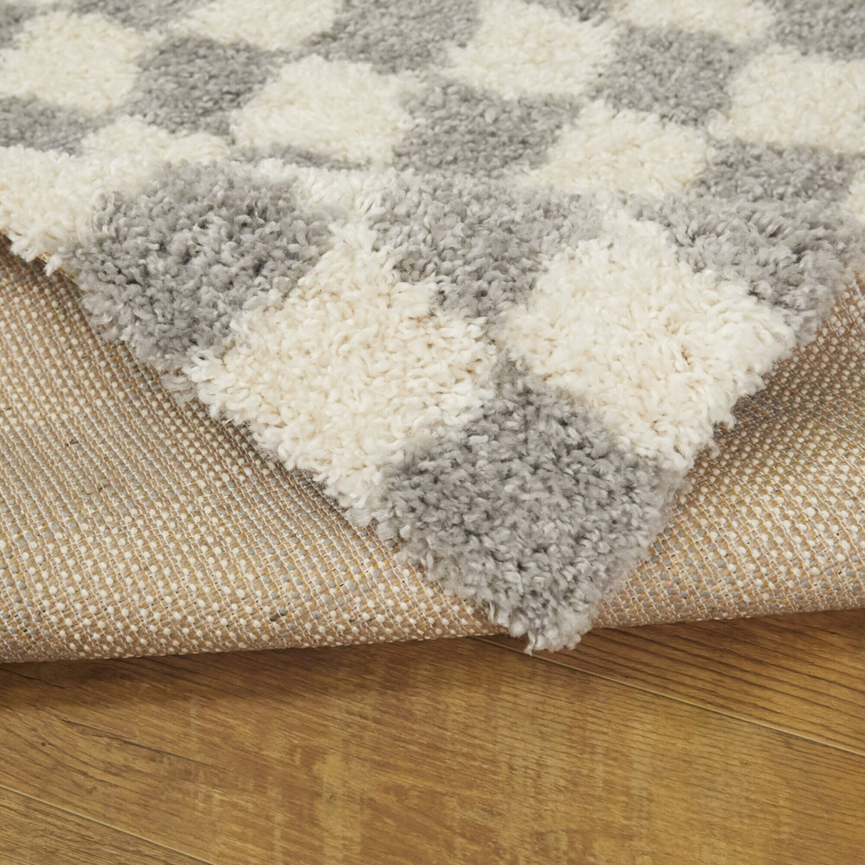 Mackie Checkered Shag Area Rug