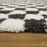 Mackie Checkered Shag Area Rug